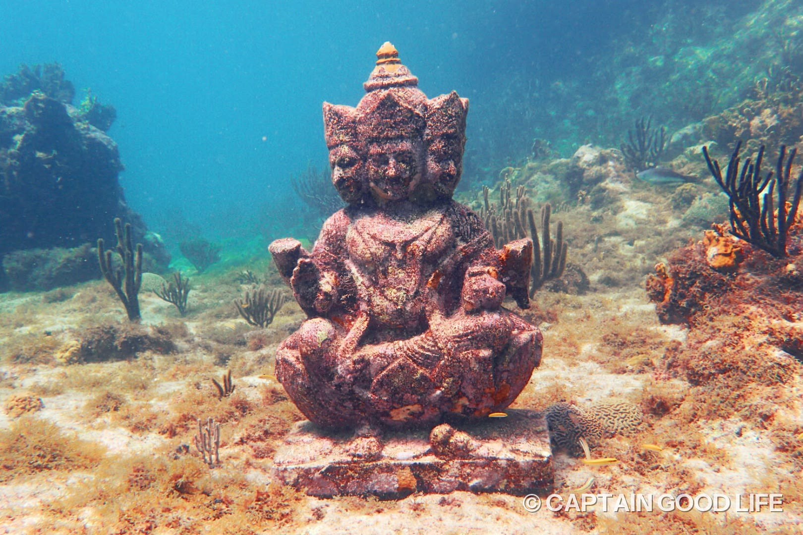 The underwater Buddha statue on the reef
